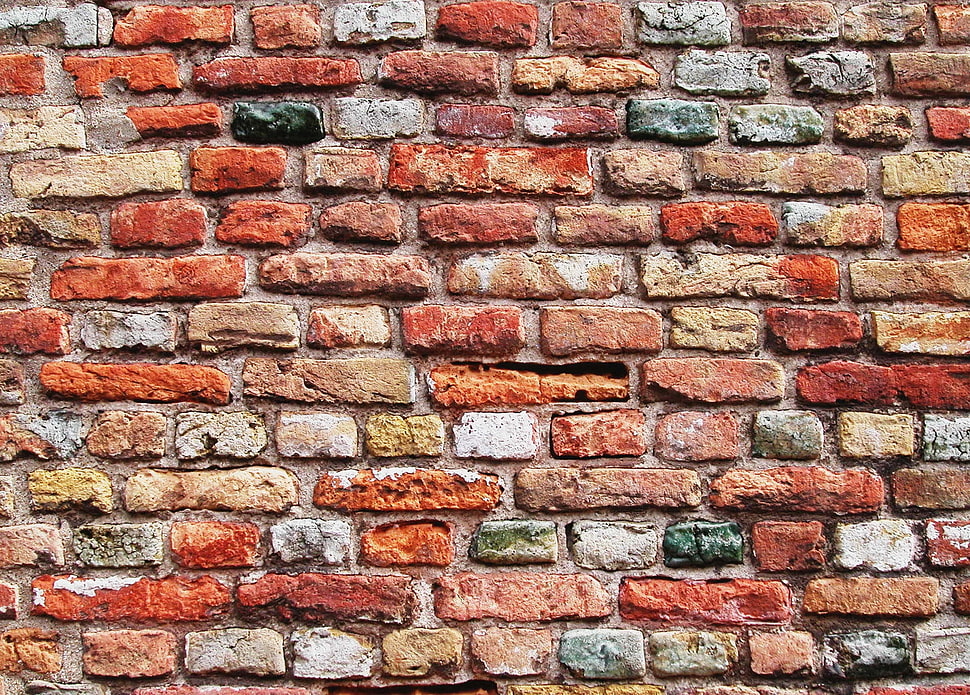 photography of red, white, and orange wall bricks HD wallpaper